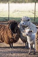 Hotel de campo granja el aromo