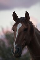 Hotel de campo granja el aromo