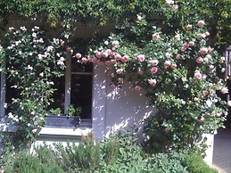 Peonia at Home