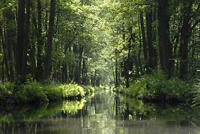 Schrebenza Apartments & Natur