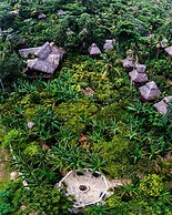 Dominican Tree House