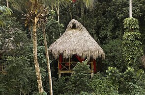 Dominican Tree House