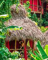 Dominican Tree House