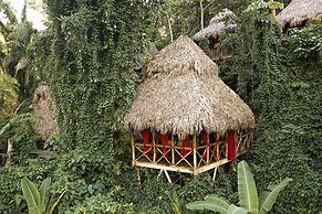 Dominican Tree House