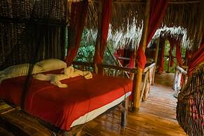 Dominican Tree House