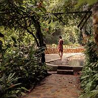 Dominican Tree House