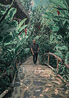 Dominican Tree House