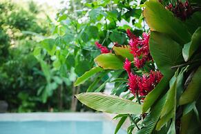 Dominican Tree House