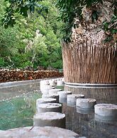 Dominican Tree House