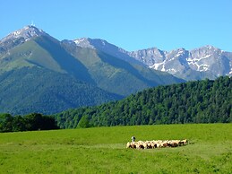 Vie D'estive