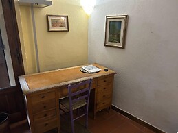 Rinidia Siena Centro