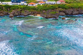 wisteria ocean Nakijin