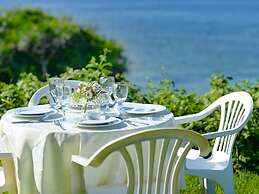 wisteria ocean Nakijin