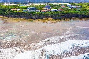 wisteria ocean Nakijin