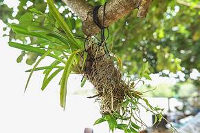Local Beach Phu Quoc