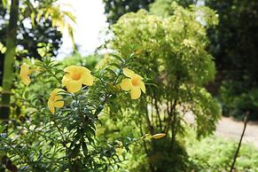 Local Beach Phu Quoc
