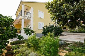 Apartments Trstenica