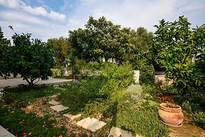 Apartments Trstenica