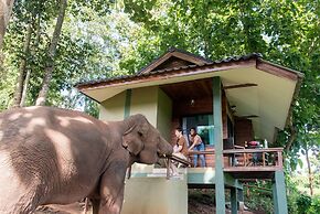 Chiang Mai Elephant Friends