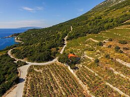 Country Home Dingač
