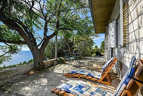 Country Home Dingač