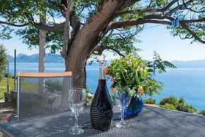 Country Home Dingač