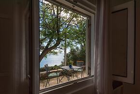 Country Home Dingač