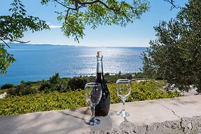 Country Home Dingač