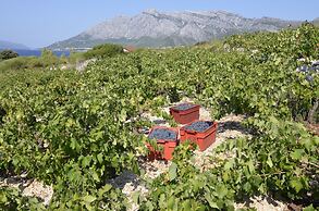 Country Home Dingač