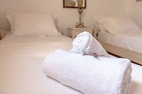 Ortus Navy Mykonian Lux Villa