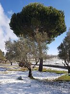 Hotel Casas del Sevillano