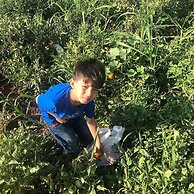 Göbeklitepe Bahce Saray