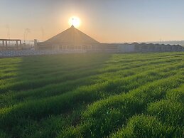 Göbeklitepe Bahce Saray