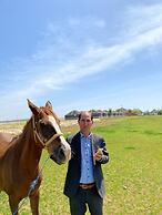 Göbeklitepe Bahce Saray