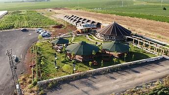 Göbeklitepe Bahce Saray