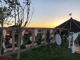 Göbeklitepe Bahce Saray