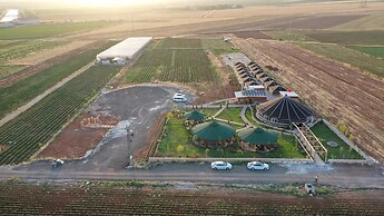 Göbeklitepe Bahce Saray
