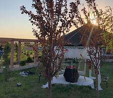 Göbeklitepe Bahce Saray