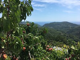 Agriturismo LaValleggia