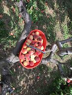 Agriturismo LaValleggia