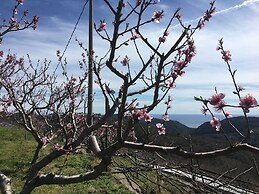 Agriturismo LaValleggia