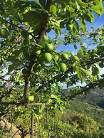 Agriturismo LaValleggia