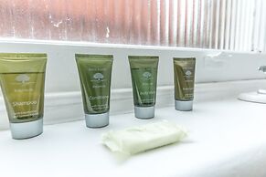 Spacious 1BR Period Apartment Hampstead