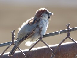 Santo Refugio Heritage Hotel