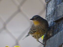 Santo Refugio Heritage Hotel