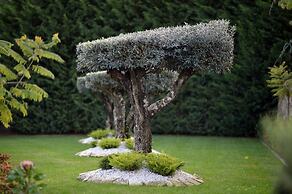 Hotel Casa das Carpas