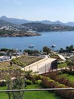 BO071 by Villaofsummer