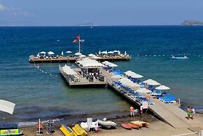 BO056 by Villaofsummer