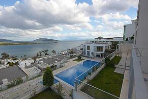 BO047 by Villaofsummer