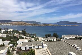 BO047 by Villaofsummer